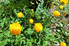 DSCF5861 (2).webp