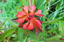 DSCF5899 (2).webp