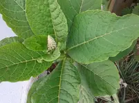 20160514_185426.webp