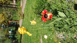 DSC_0023.webp