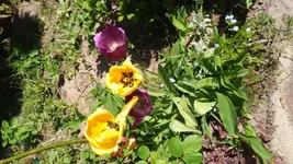 DSC_0024.webp