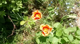 DSC_0026.JPG