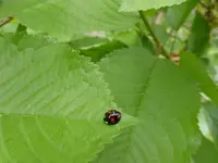 P1110911.webp