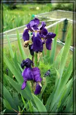 comp_DSC01211.webp