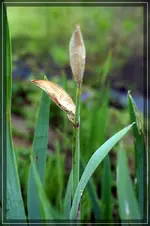comp_DSC01213.webp
