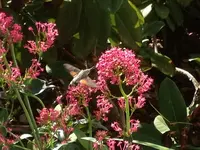 2012-06-14 (3).webp