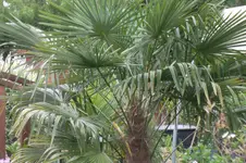 SAM_1289.webp