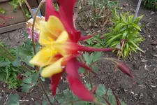 SAM_1292.webp