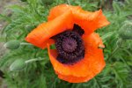 DSC01645.jpg