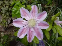 P1120024.webp