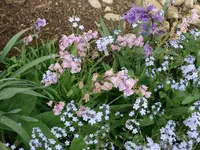 k-P1100626.webp