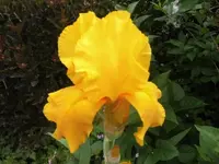 Bilda094.webp