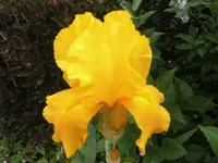 Bilda113.webp