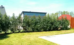 _20160517_113537.jpg
