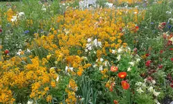 20160515_111817.webp