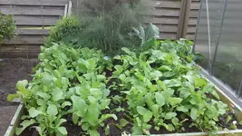 20160517_133322.webp
