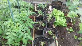 20160517_133334.webp