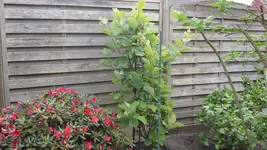 20160517_133312.webp