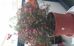 20160517_153229.jpg