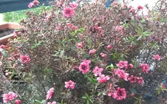 20160517_153343.jpg