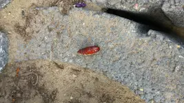 20160517_182806.jpg