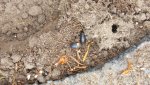 20160517_182820.jpg
