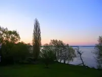 030.webp