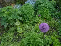 DSCN4004.webp