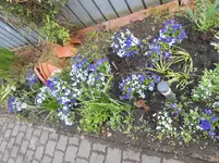 DSCN4005.webp