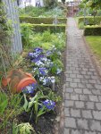 DSCN4006.jpg