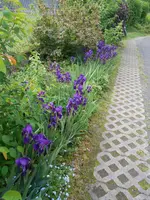 DSCN4010.webp