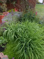 DSCN4014.jpg
