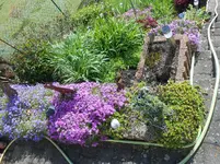 DSCN3964.webp