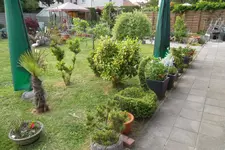 SAM_1293.webp