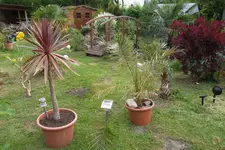 SAM_1297.webp