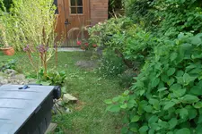 SAM_1304.webp