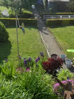 DSCN3989.webp