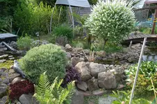 SAM_1308.webp