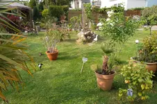 SAM_1309.webp