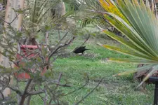 SAM_1312.webp