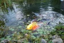 SAM_1313.webp