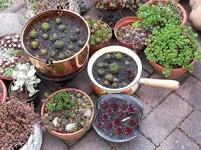 20160517_171349.webp