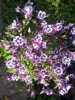 IMG_20160517_185925.webp