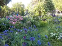 IMG_20160517_190035.jpg