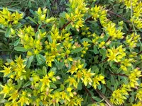 IMG_20160517_190106.webp