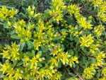 IMG_20160517_190106.jpg