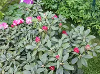 20160517_170331.webp