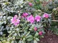 20160517_170406.webp