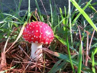 IMG_0194 (1).webp
