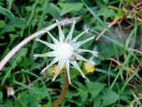 IMG_0199v (1).webp